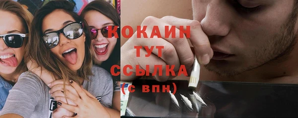 альфа пвп Гусь-Хрустальный