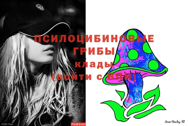 PSILOCYBIN Гусев