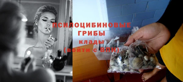 альфа пвп Гусь-Хрустальный