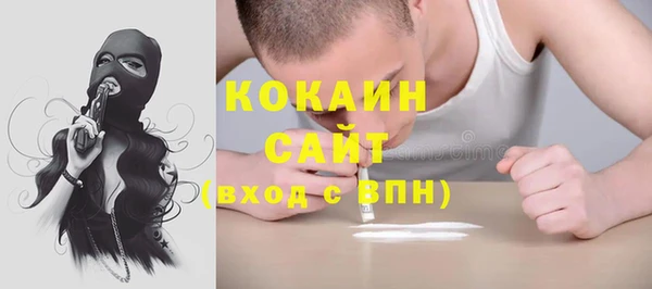 PSILOCYBIN Гусев