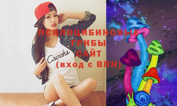 прущая мука Гусиноозёрск