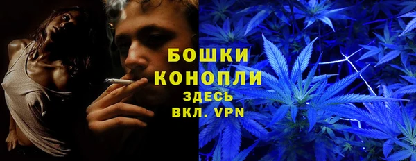 PSILOCYBIN Гусев
