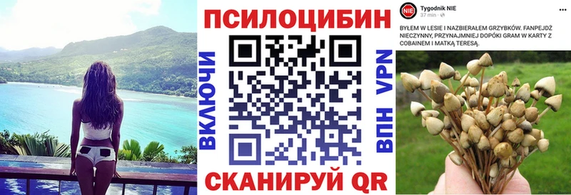 KRAKEN онион  Печоры  Псилоцибиновые грибы Magic Shrooms  как найти  